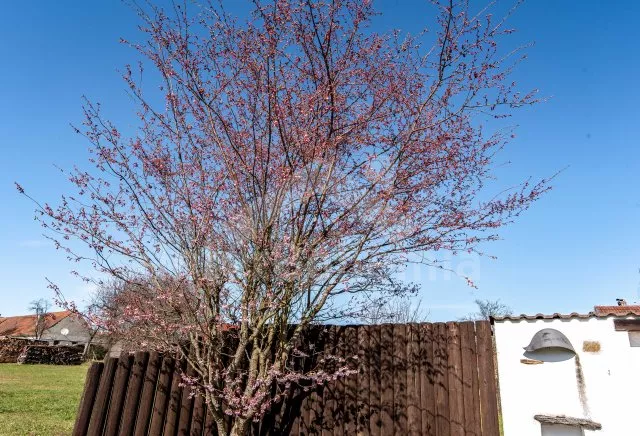 Chalupa Novohradsko - Sedlce JC 0504