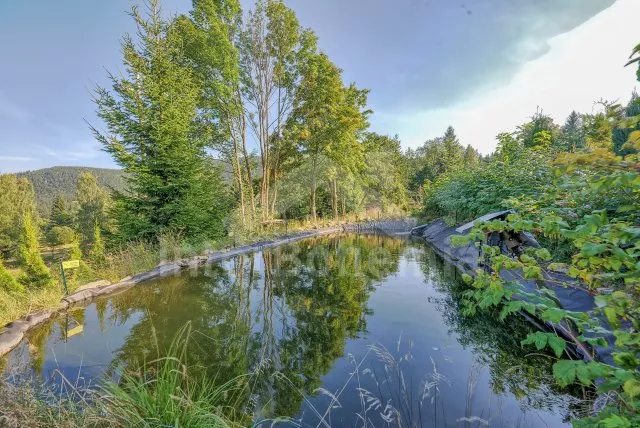 Vila Krkonoše a předhůří - Kořenov KK 0043