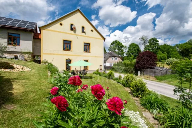 Appartement Lipno Stausee - Zelnava JC 0509