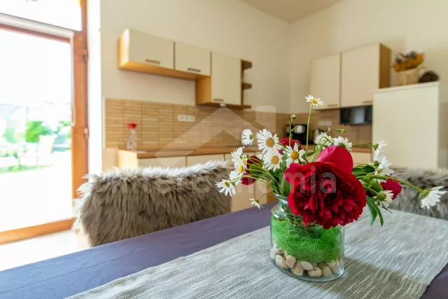 Appartement Lipno Stausee - Zelnava JC 0509