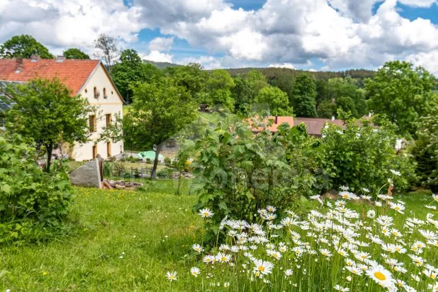 Appartement Lipno Stausee - Zelnava JC 0509