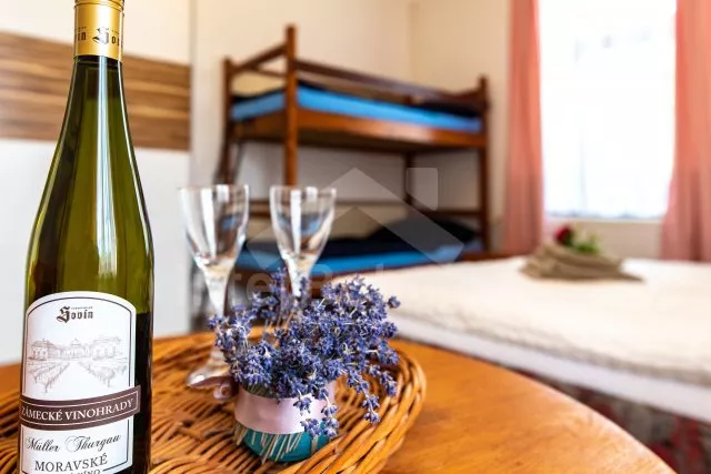 Appartement Lipno Stausee - Zelnava JC 0509