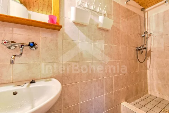 Chalet Lipno Lake - Karlovy Dvory JC 0515