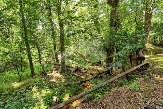 Chalupa Křivoklátsko - Otročíněves OP 0145