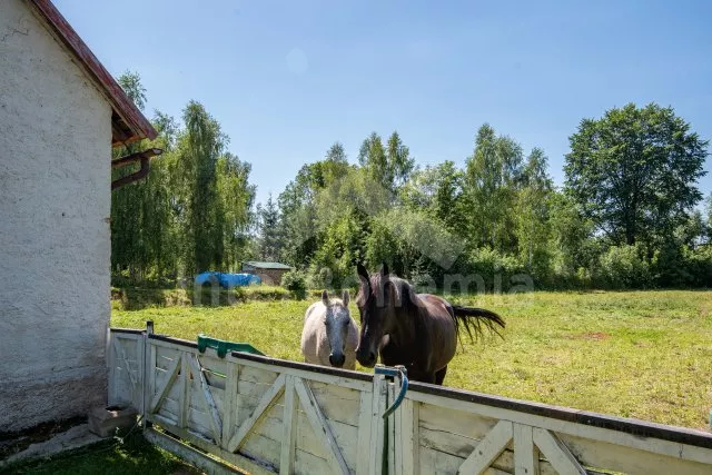 Chalupa Blaník a okolí - Mladá Vožice JC 0519
