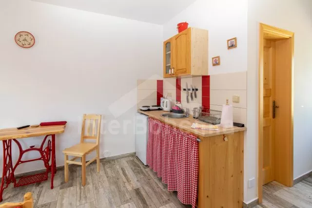 Apartmán České Budějovice a okolí - Holašovice JC 0483 B
