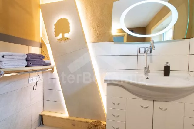 Apartmán Praha a okolí - Ostrov OP 0376