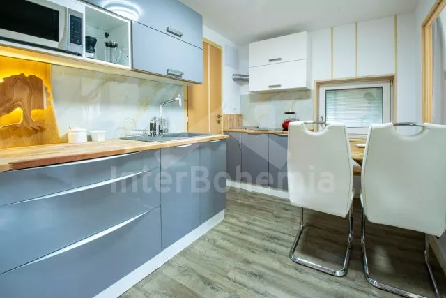 Apartmán Praha a okolí - Ostrov OP 0376