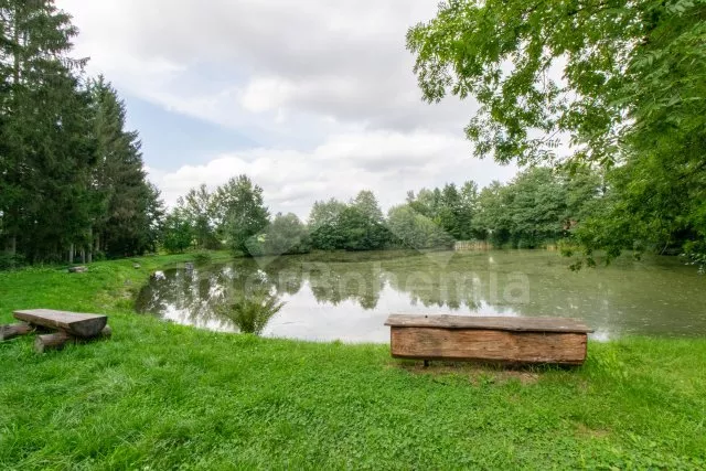 Apartmán Praha a okolí - Ostrov OP 0376