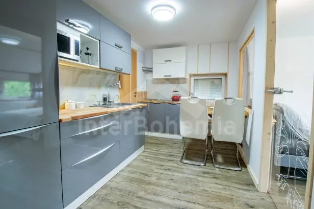 Apartmán Praha a okolí - Ostrov OP 0376