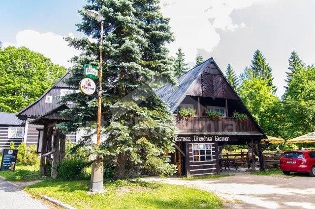 Cabin Giant Mountains - Harrachov KK 0148