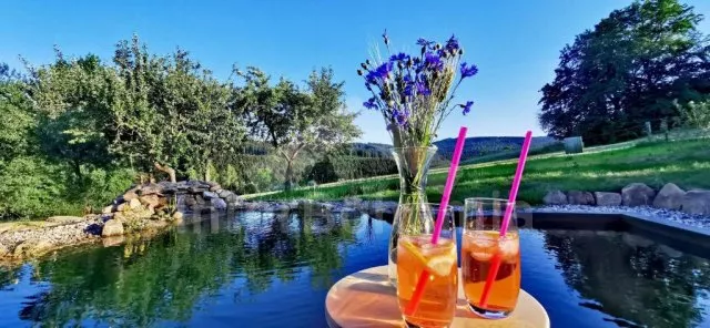 Vila Vysočina - Březiny VC 0189