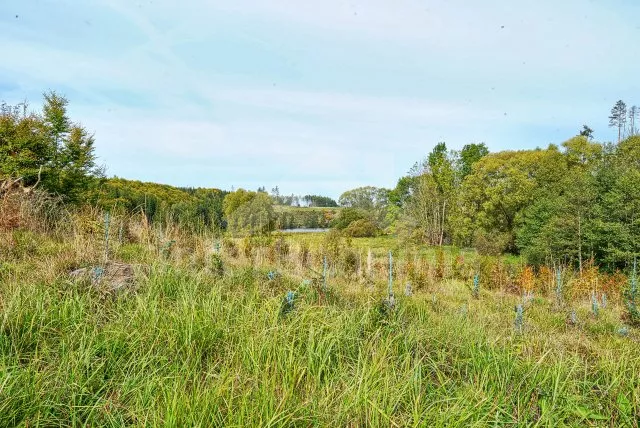 Chata Českomoravská vrchovina - Opatov (Třebíč) JC 0527