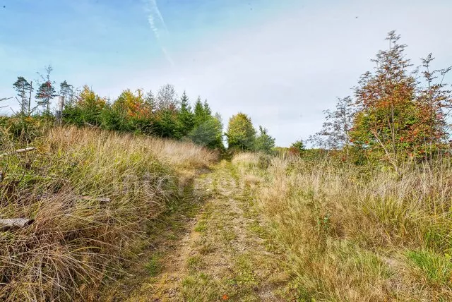 Chata Českomoravská vrchovina - Opatov (Třebíč) JC 0527