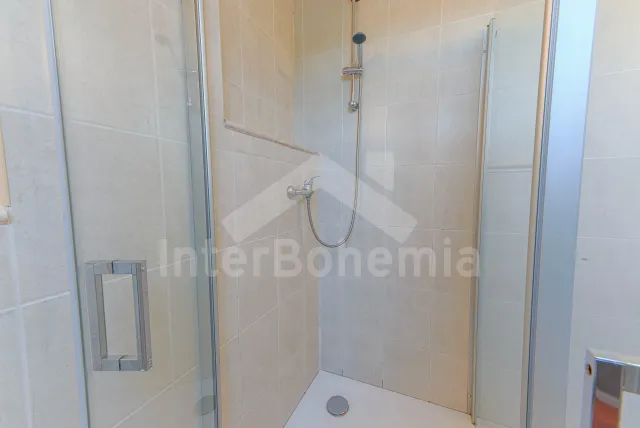 Chalupa Orlické hory a předhůří - Pěčín VC 0190