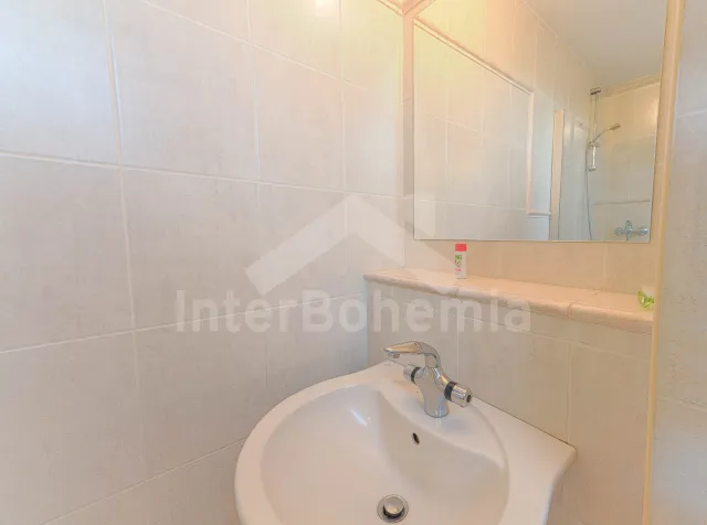 Chalupa Orlické hory a předhůří - Pěčín VC 0190