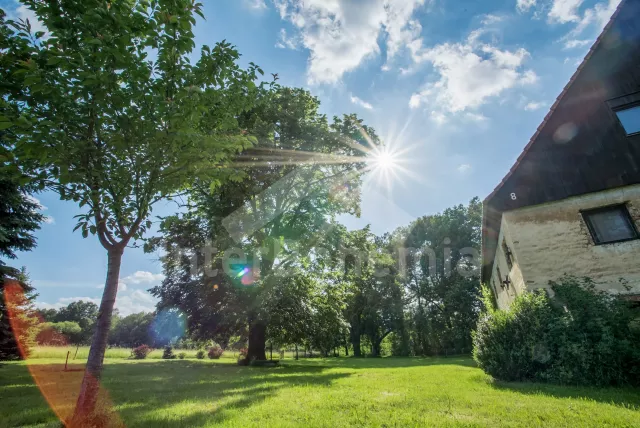 Chalupa Jizerské hory - Dolní Oldřiš JH 0038