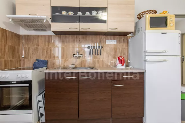 Apartmán Třeboňsko - Libín JC 0778
