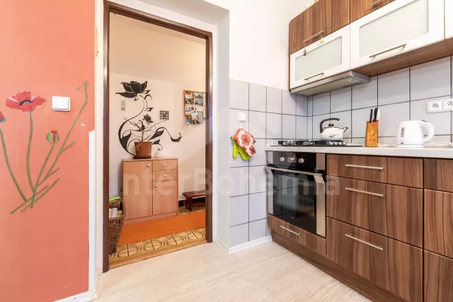 Apartmán Třeboňsko - Libín JC 0779