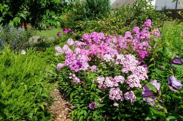 Chalupa Orlík JC 0058