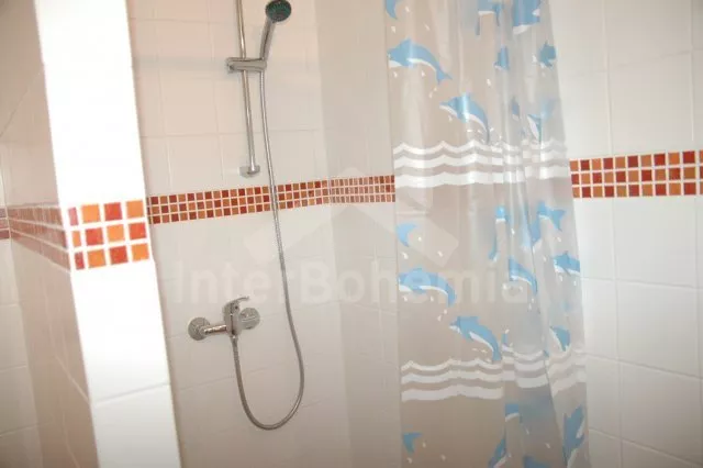 Chata Orlík OP 0371