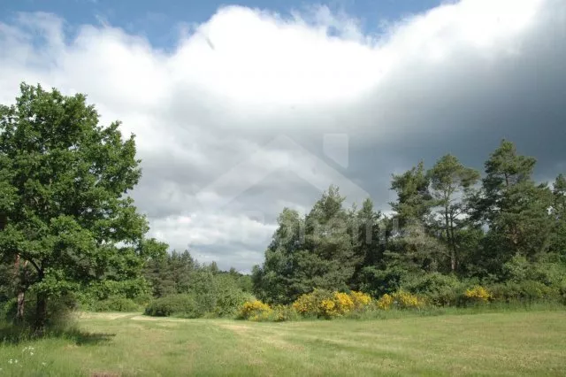 Chata Orlík OP 0371