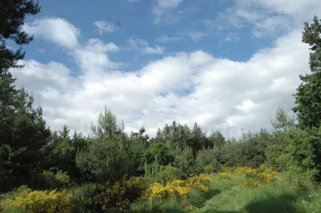 Chata Orlík OP 0371