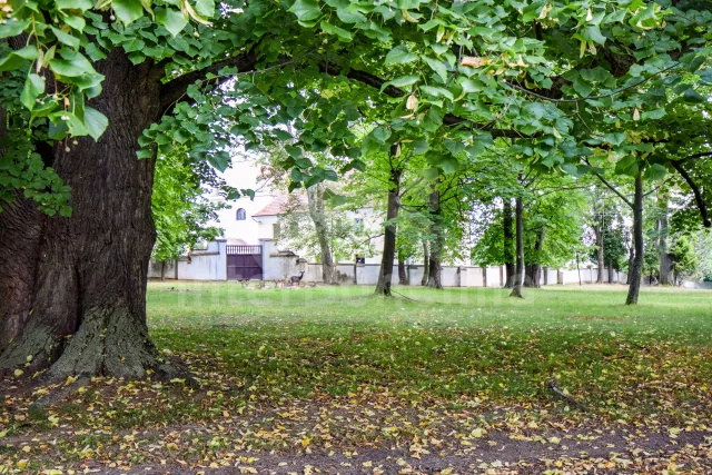 Appartement Südböhmen – Böhmerwald - Dub JC 0807