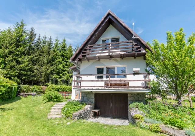 Chalet Lipno Lake - Hurka JC 0796