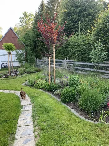 Chata Olomouc a okolí - Vysoká JM 0133