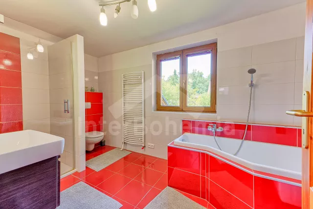 Chata Jihočeské rybníky - Dehtáře JC 0599