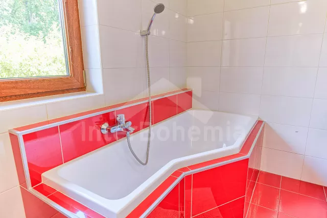 Chata Jihočeské rybníky - Dehtáře JC 0599