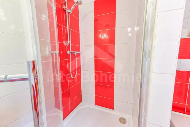 Chata Jihočeské rybníky - Dehtáře JC 0599