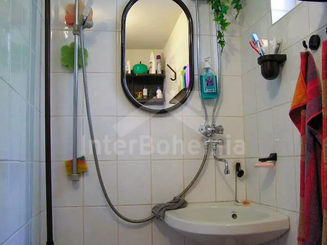 Chata Jihočeské rybníky - Hluboká u Borovan JC 0060