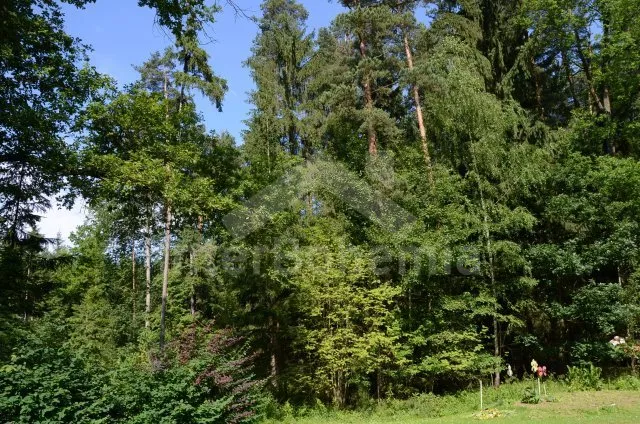 Chata Jihočeské rybníky - Hluboká u Borovan JC 0060