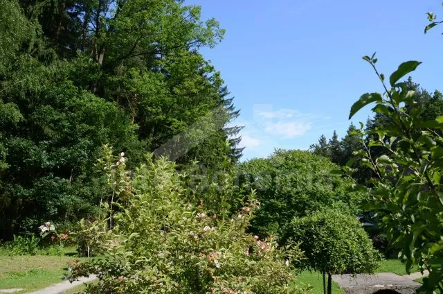 Chata Jihočeské rybníky - Hluboká u Borovan JC 0060