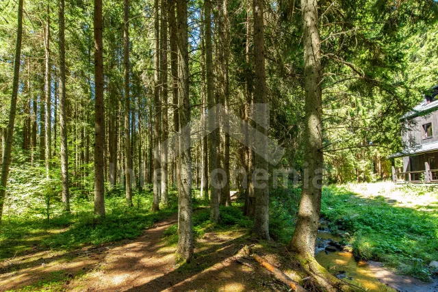 Vakantiehuis Boheems Woud - Nove Hute JC 0850