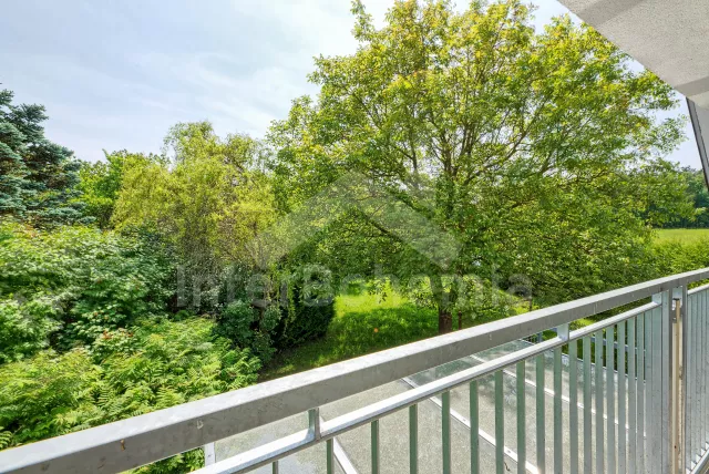 Chata Novohradsko - Žár JC 0687