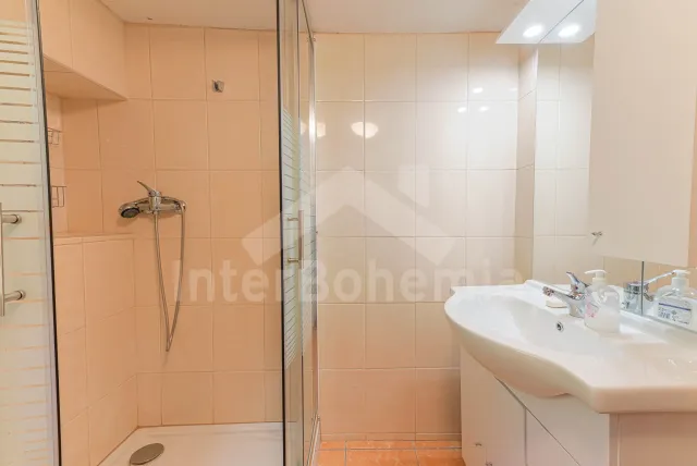 Chalupa Orlické hory a předhůří - Bystré VC 0068