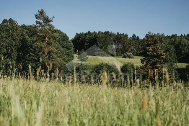 Chalupa Lužické hory - Petrovice LH 0047