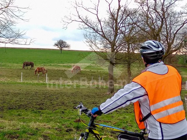 Domek Tábor a okolí - Sudoměřice u Bechyně JC 0817