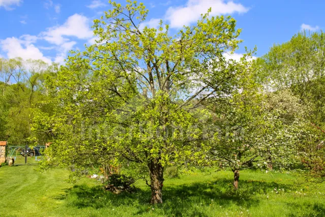 Statek Lipno - Lachovice JC 0821