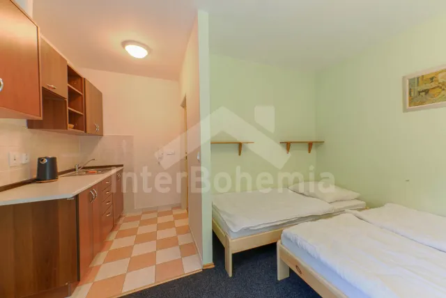 Pokoj č.11 (garsonka) pro 3 osoby s vlastní koupelnou a WC