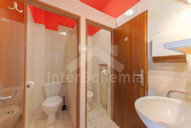 Dámské toalety v přízemí v hale 2x