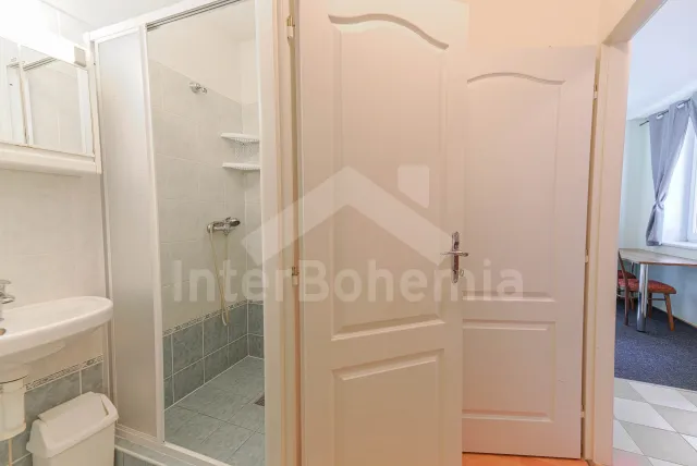 Pokoj č.11 (garsonka) pro 3 osoby s vlastní koupelnou a WC