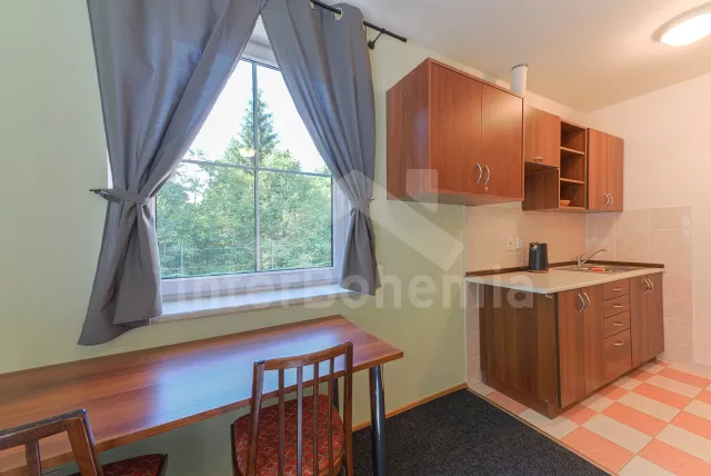 Pokoj č.11 (garsonka) pro 3 osoby s vlastní koupelnou a WC