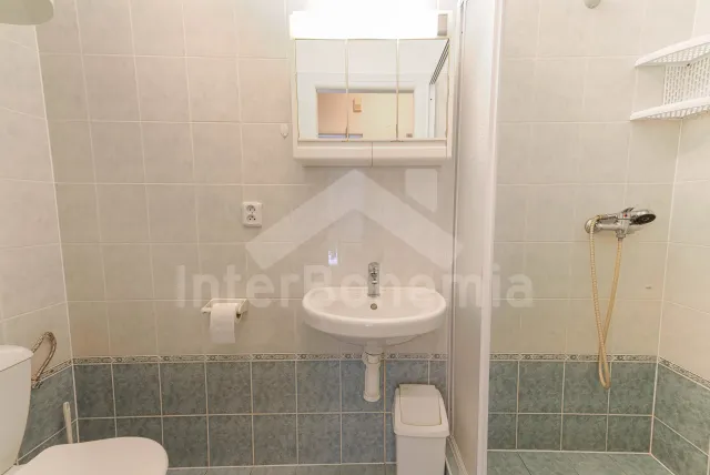 Pokoj č.11 (garsonka) pro 3 osoby s vlastní koupelnou a WC