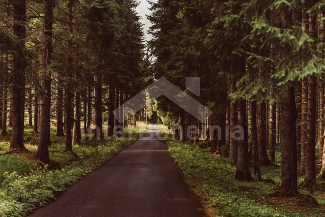 Appartement Südböhmen – Böhmerwald - Javorna ZC 0202