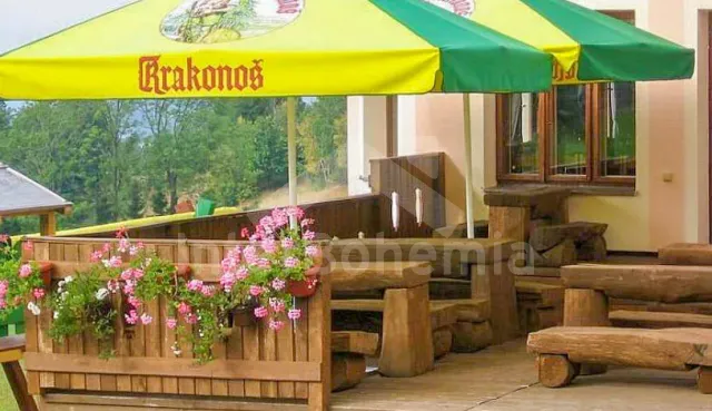 Penzion Krkonoše a předhůří - Benecko KK 0165