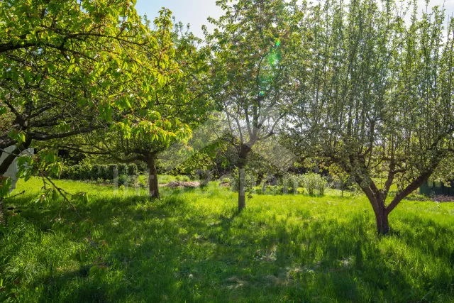 Chalupa Šumava a předhůří - Bezděkovec ZC 0203